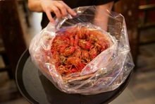 Oceanic Boil - Jackson Heights