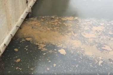  This is what poop looks like flowing into Newtown Creek. 