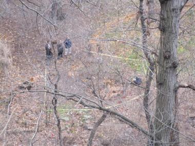Investigators survey the crime scene in High Bridge Park on Tuesday afternoon.