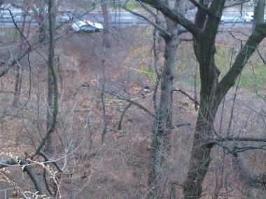 The area in High Bridge Park alongside Harlem River Drive in Washington Heights where a decomposed body was found on Dec. 15, 2009.