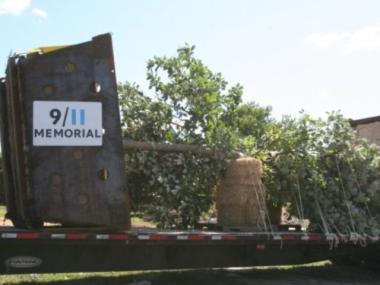 The trees headed to the World Trade Center site.