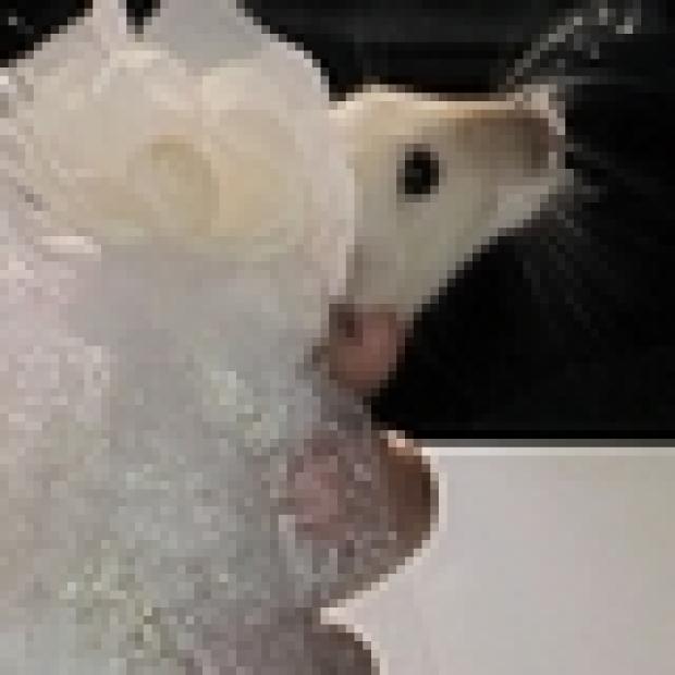 Rats! Every Rodent Gets Its Day At Midtown Convention - Midtown ...