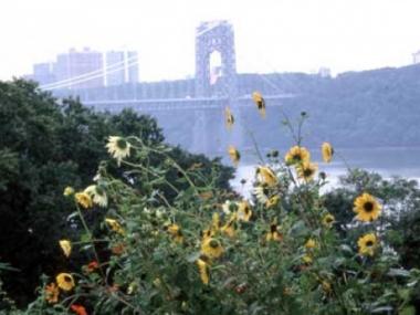 The Heather Garden is one of Fort Tryon Park's most popular areas.