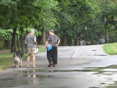 Dog walkers in Riverside Park Friday said they were shocked by Monday's attack on a woman walking a welsh terrier. Most said they feel safe when they walk with their dogs.