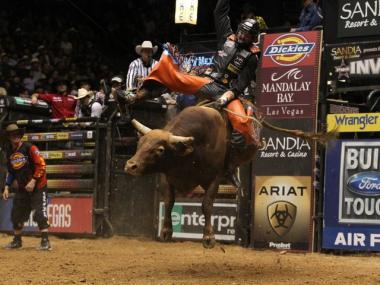 Austin Meier rides Circle T's Cajun Blast during the second round of the Albuquerque Built Ford Tough series PBR.