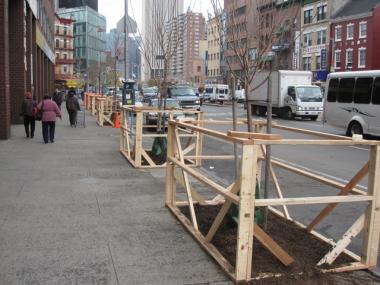 The new cherry trees line the Bowery near Confucius Plaza in Chinatown.