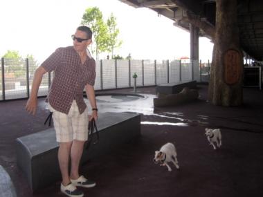 Patrick Fox threw a ball for his dogs to chase.