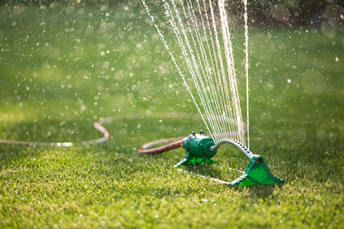  Under a measure introduced by Mayor Rahm Emanuel, Chicago homeowners would not be allowed to water their lawns on consecutive days between May 15 and Sept. 15 in an effort to save water. 