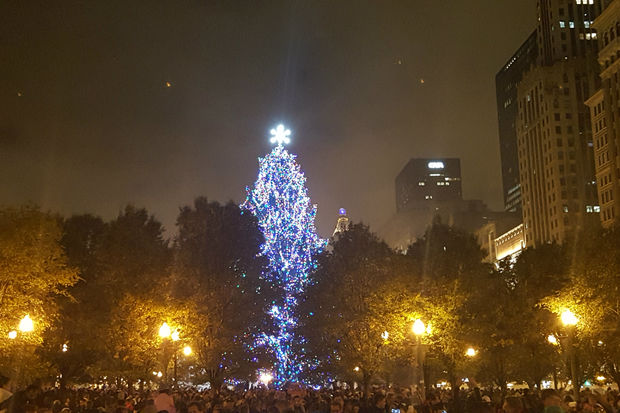 annual christmas tree lighting ceremony illuminates annual christmas tree lighting ceremony illuminates