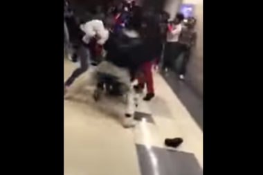  A fight at the United Center was captured on video. 