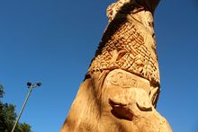 Dogs Were Carved Into This Portage Park Tree â€” And More Could Be