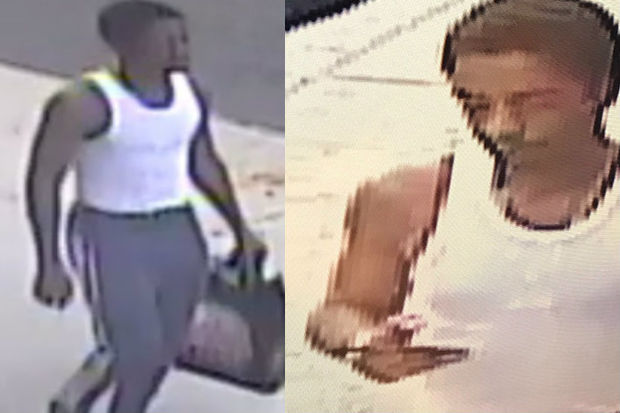 Handbag Snatcher Williamsburg Purse Snatcher Nets $2,900 From Cheap Handbag, Police Say ...