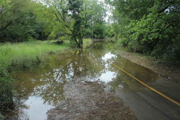 Flooding On The North Branch Trail Get Used To It County Officials Say Sauganash Chicago 